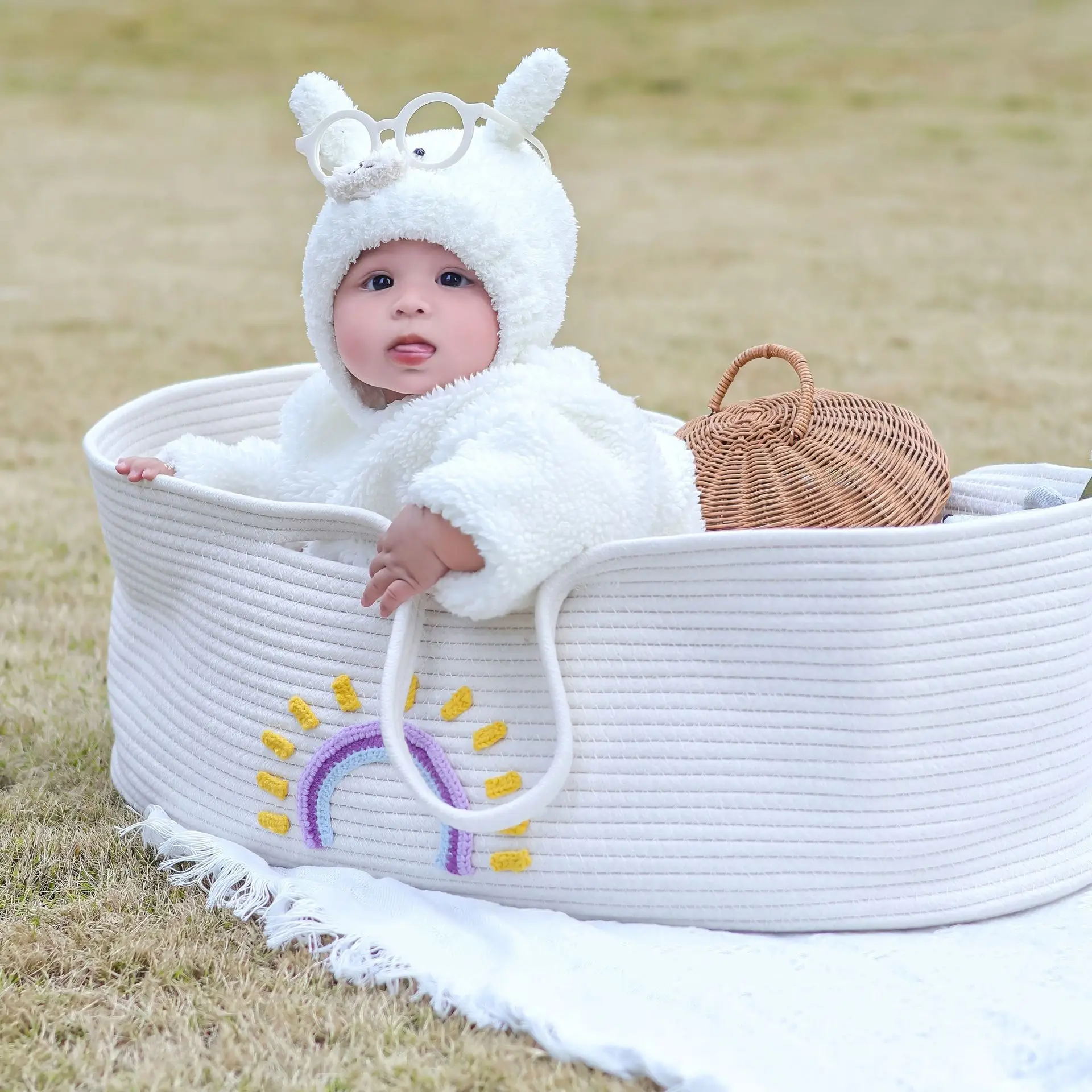 Portable Baby Carrying Basket  - đánh giá và giá Baby Nursery Basket